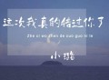 小璐《这次我真的错过你了》[FLAC/MP3-320K]网盘下载