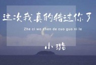 小璐《这次我真的错过你了》[FLAC/MP3-320K]网盘下载