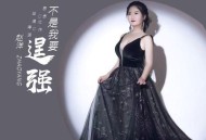 赵洋《不是我要逞强》[无损flac|320K高品质MP3]网盘下载