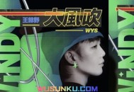 王赫野《大风吹》[无损flac]网盘下载