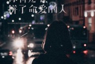 黄静美《你曾是我拼了命爱的人》[FLAC/MP3-320K]网盘下载