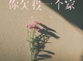 杨不乖《你欠我一个家》[FLAC/MP3-320K]网盘下载