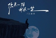 王超然《你来一阵我疼一生》[FLAC/MP3-320K]网盘下载