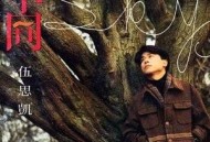 伍思凯1993年专辑《不同》[无损flac]网盘下载