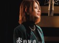 阿细《赤的疑惑》[无损flac]网盘下载