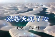 王小帅《怨苍天变了心》( 正式版)[无损flac]网盘下载