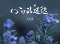 苏星婕《心口的迷迭》[无损flac|320K高品质MP3]网盘下载