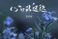 苏星婕《心口的迷迭》[无损flac|320K高品质MP3]网盘下载