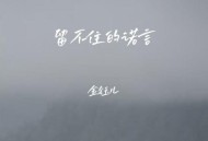 金钰儿《留不住的诺言》[FLAC/MP3-320K]网盘下载