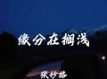 张妙格《缘分在搁浅》[FLAC/MP3-320K]网盘下载