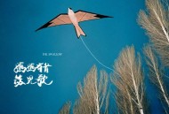 王睿卓《妈妈有首燕儿歌》[FLAC/MP3-320K]网盘下载