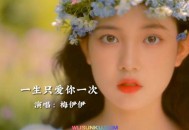 梅伊伊《一生只爱你一次》[无损flac]网盘下载