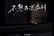 苏星婕《不想再说离别》[无损flac|320K高品质MP3]网盘下载