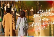 朱兴东《南风知我意》[无损flac]网盘下载