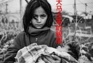 赵磊《大马士革的眼泪》[无损flac|320K高品质MP3]网盘下载