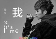 徐良2014年专辑《我》[无损flac]网盘下载