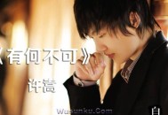 许嵩《有何不可》[无损flac]网盘下载