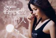 佳音《容易受伤的人》[FLAC/MP3-320K]网盘下载