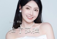 关心《怕了孤独 怕了寂寞》[FLAC/MP3-320K]网盘下载