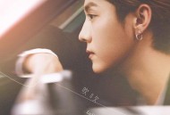 鹿晗《吹吹风》[FLAC/MP3-320K]网盘下载