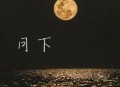 沧川《月下》[无损flac|320K高品质MP3]网盘下载
