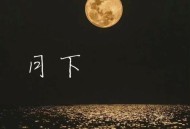 沧川《月下》[无损flac|320K高品质MP3]网盘下载