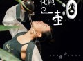 花僮《花间一壶酒》[无损flac]网盘下载