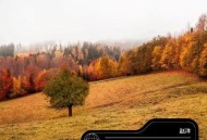 赵洋《忘川河畔流尽痴情泪》[无损flac|320K高品质MP3]网盘下载