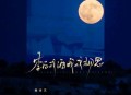 魏佳艺《李白戒酒我戒相思》[无损flac|320K高品质MP3]网盘下载