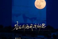 魏佳艺《李白戒酒我戒相思》[无损flac|320K高品质MP3]网盘下载