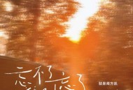 就是南方凯、于潼《忘不了就别忘了》[无损flac|320K高品质MP3]网盘下载