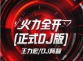王力宏、阿布《火力全开 (正式授权DJ版)》[FLAC/MP3-320K]网盘下载