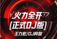 王力宏、阿布《火力全开 (正式授权DJ版)》[FLAC/MP3-320K]网盘下载
