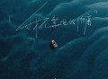 卢润泽《我不算谁的附庸》[FLAC/MP3-320K]网盘下载