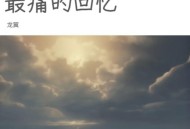 龙翼《最痛的回忆》[FLAC/MP3-320K]网盘下载