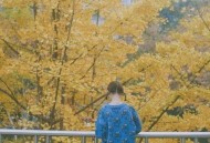 陈雪凝《回忆见》[无损flac]网盘下载