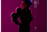 崔子格《花的嫁纱（20周年纪念版）》[FLAC/MP3-320K]网盘下载