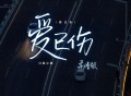 凯小晴《爱已伤（柔情版）》[FLAC/MP3-320K]网盘下载