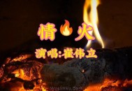 崔伟立《情火》[无损flac]网盘下载