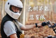 王超然《大树不能没有根》[无损flac|320K高品质MP3]网盘下载