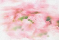 齐修远《春见你》[FLAC/MP3-320K]网盘下载