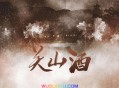 邓寓君(等什么君)《关山酒》[无损flac]网盘下载
