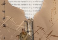 曹杨《不该被爱》[无损FLAC|320K高品质MP3]网盘下载