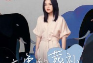徐佳莹《大象的葬礼》[FLAC/MP3-320K]网盘下载