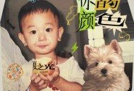 夏之光《你的颜色》[FLAC/MP3-320K]网盘下载