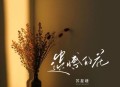 苏星婕《遗憾的花》[无损flac|320K高品质MP3]网盘下载