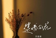 苏星婕《遗憾的花》[无损flac|320K高品质MP3]网盘下载