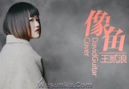 王贰浪《像鱼》[无损flac]网盘下载