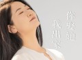 赵洋《你娶她我出家》[FLAC/MP3-320K]网盘下载