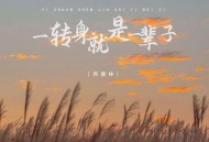 蒋蕙林《一转身就是一辈子》[FLAC/MP3-320K]网盘下载